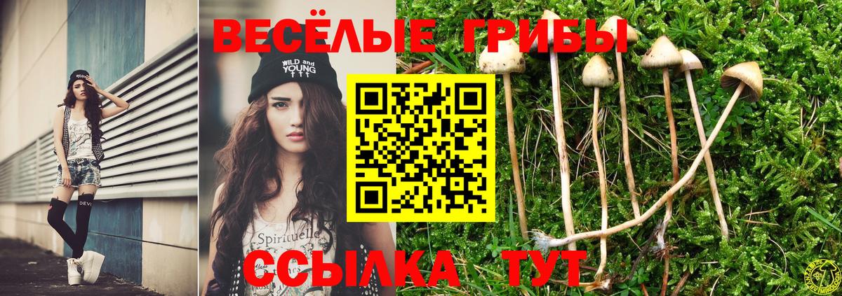 Галлюциногенные грибы мухоморы  Вход с VPN  Волжск 